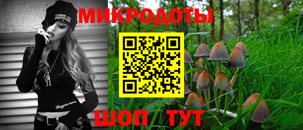 APVP Черкесск